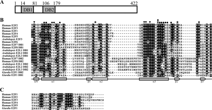 FIGURE 1.