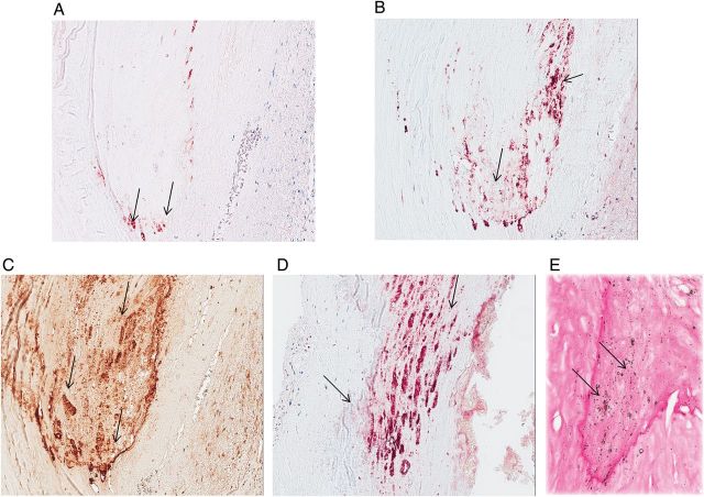 FIGURE 1: