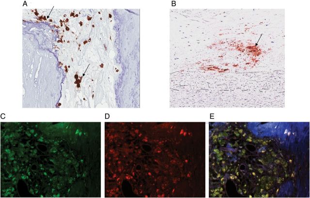 FIGURE 2: