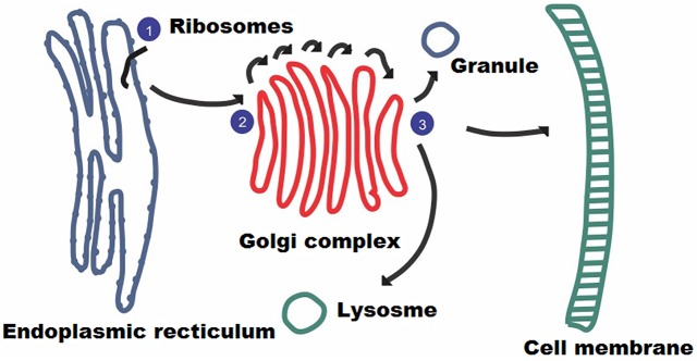 Fig 1