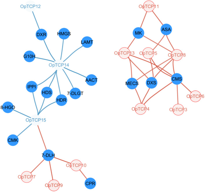 FIGURE 6