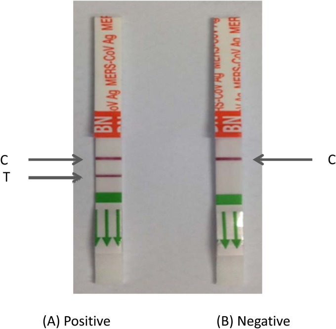 FIG 1