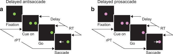 Figure 1—figure supplement 1.