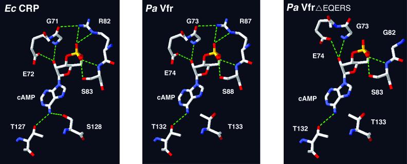 FIG. 5.