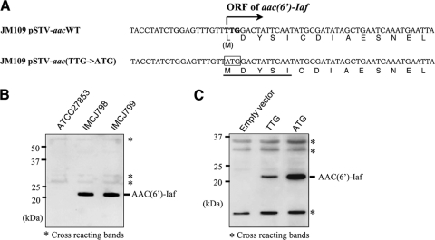 FIG. 5.