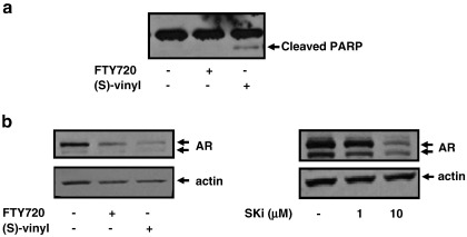 Fig. 6