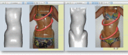 Figure 15