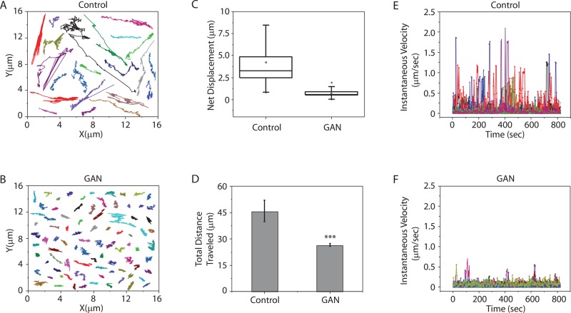 FIGURE 3: