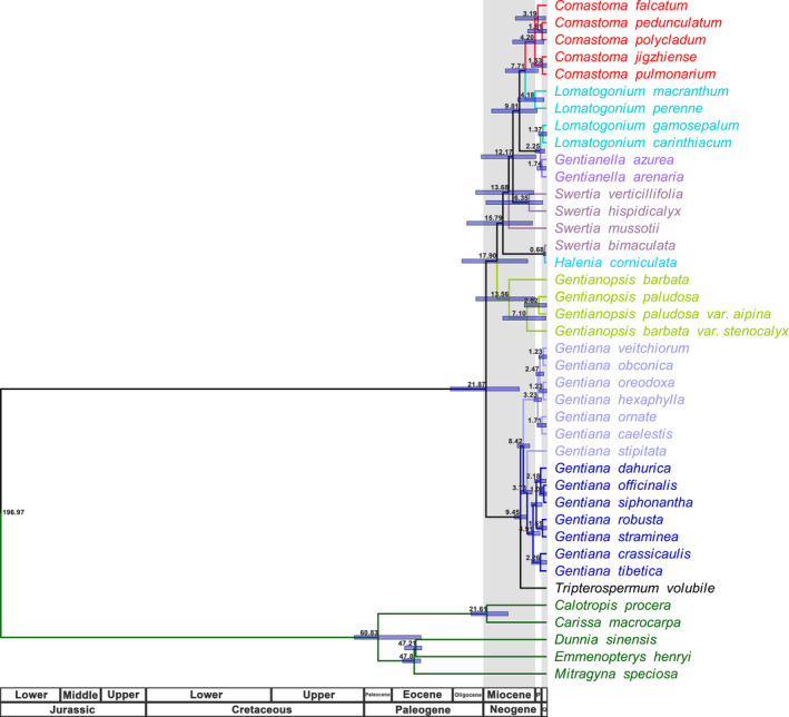 FIGURE 5