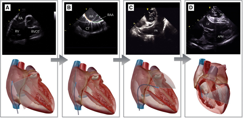 Figure 2.