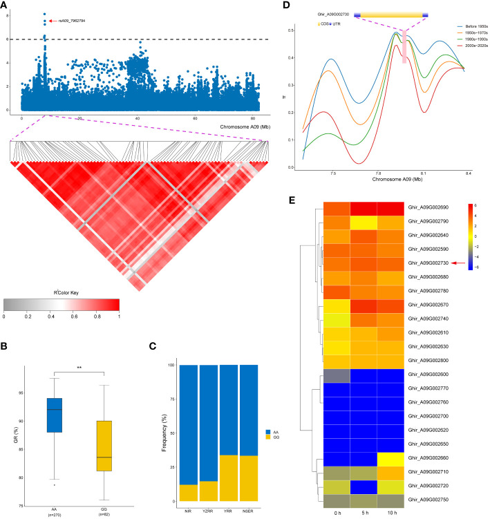 Figure 4