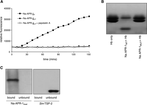 Figure 5.