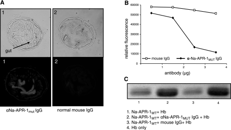 Figure 6.