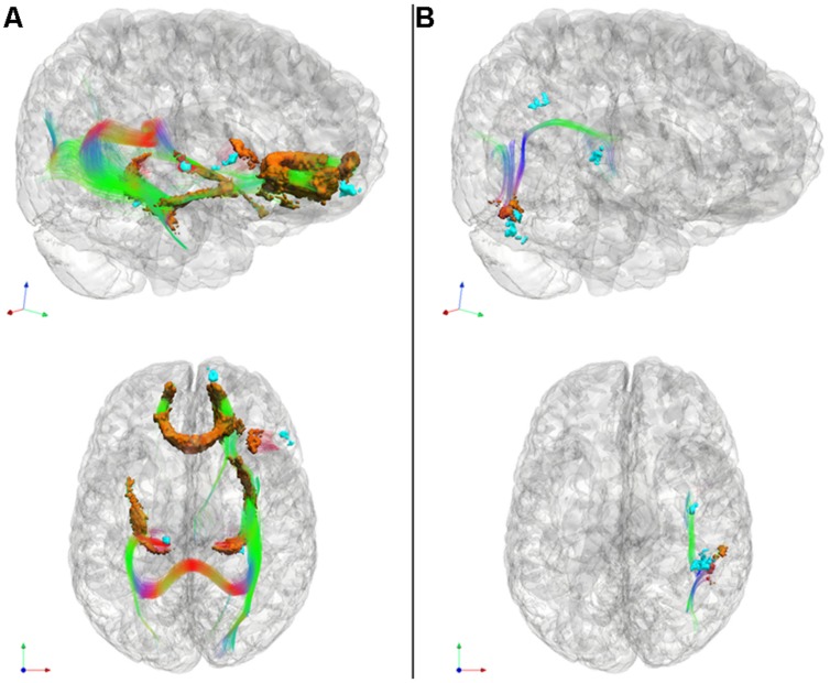 FIGURE 3