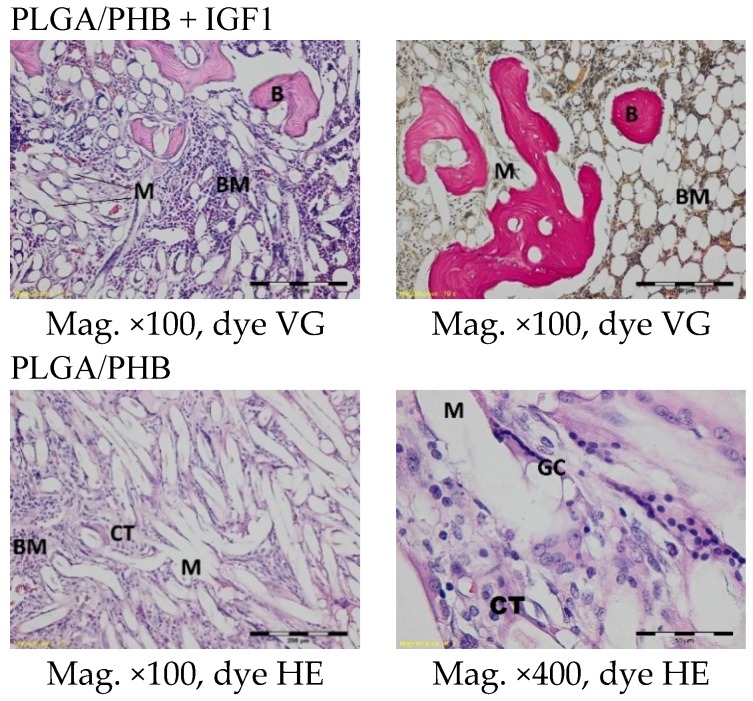 Figure 13