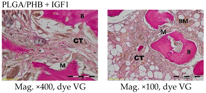 Figure 15