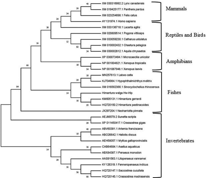 Fig. 10