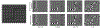 FIG. 20: