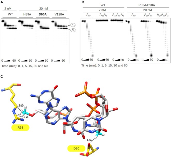 Figure 4.