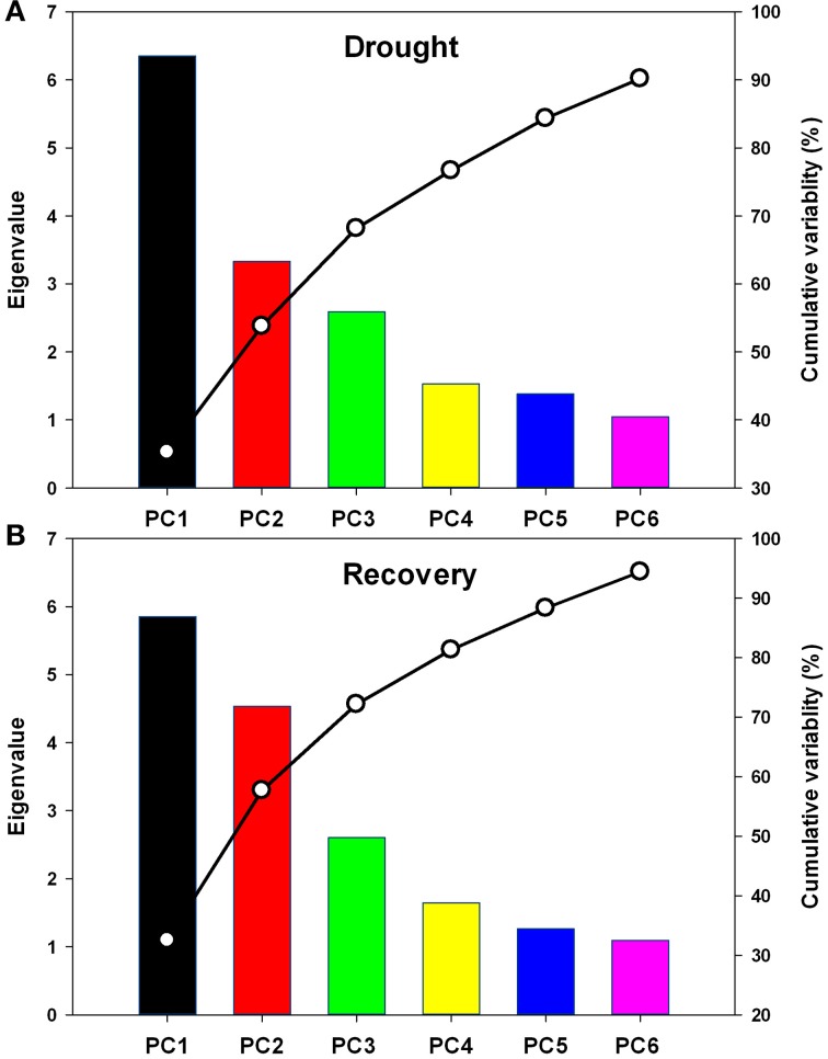 Figure 7