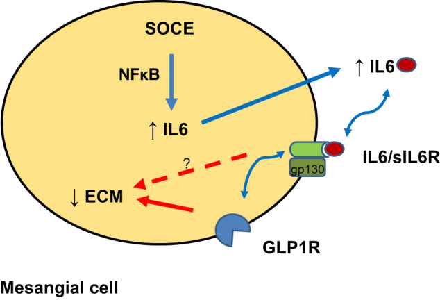 Fig. 8.