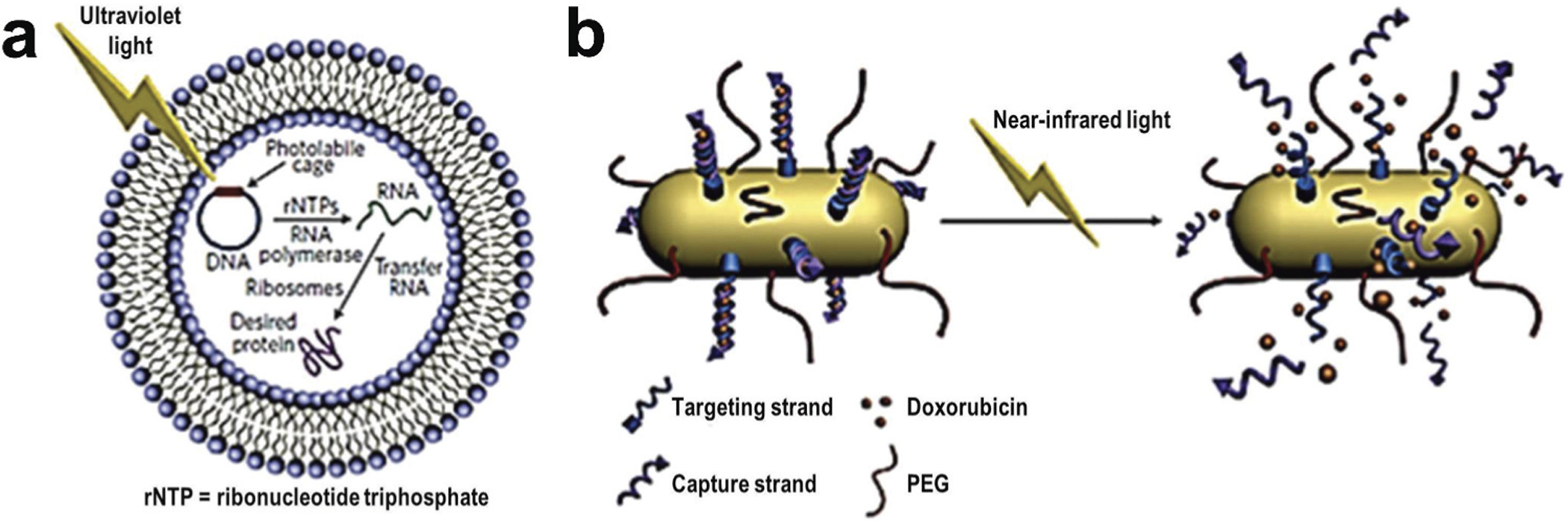 Figure 10.