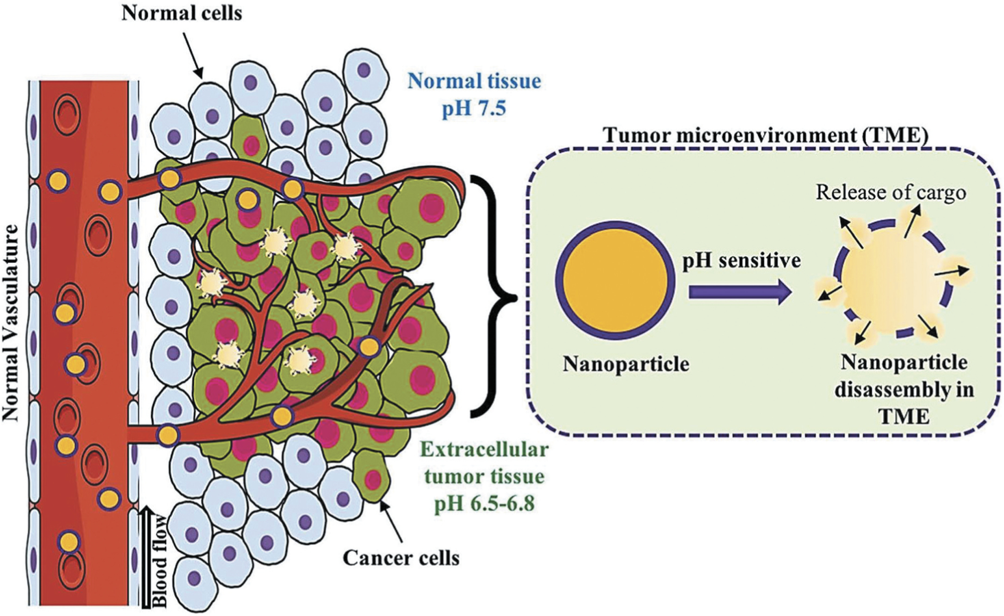 Figure 12.