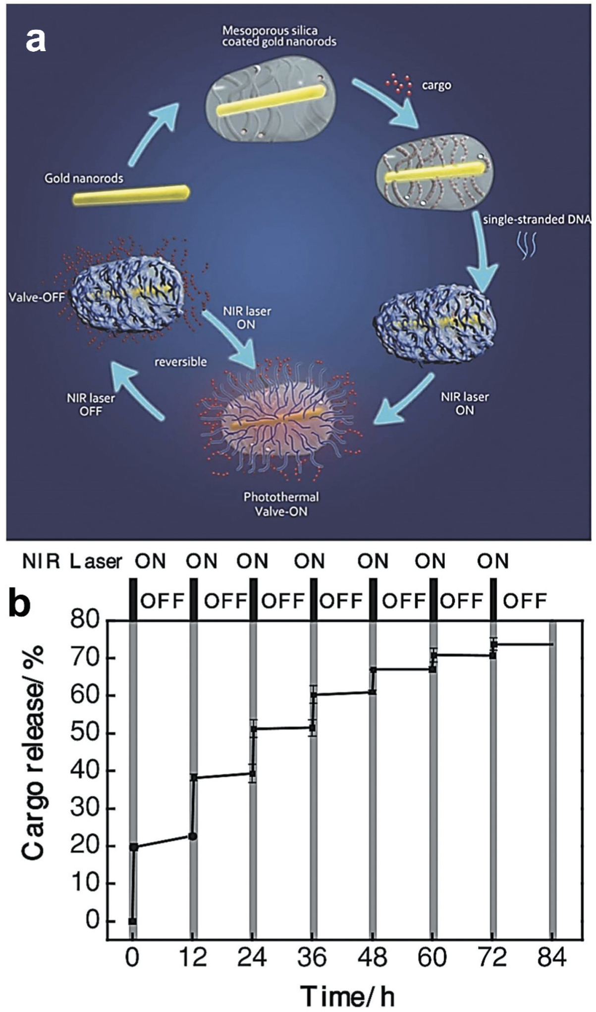 Figure 11.