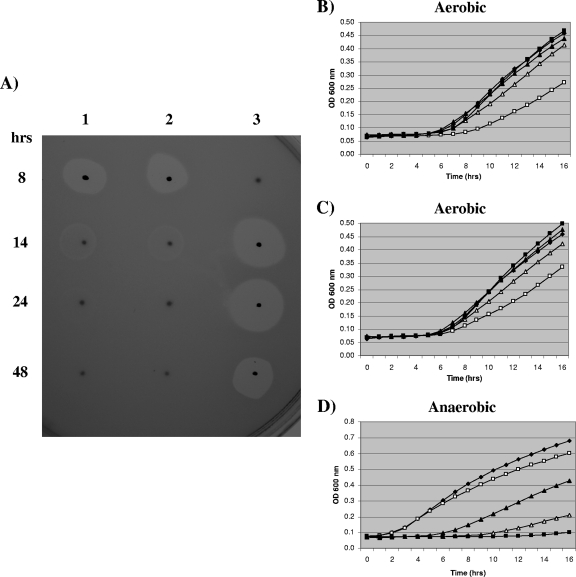 FIG. 3.