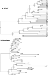 Figure 2—figure supplement 1.