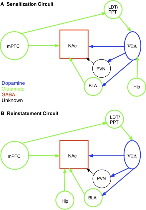 Fig 1.