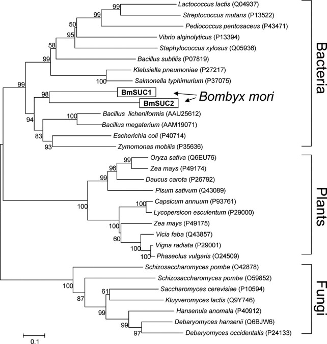 FIGURE 2.