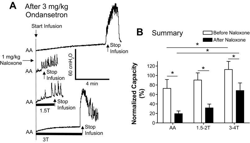 Fig. 8.