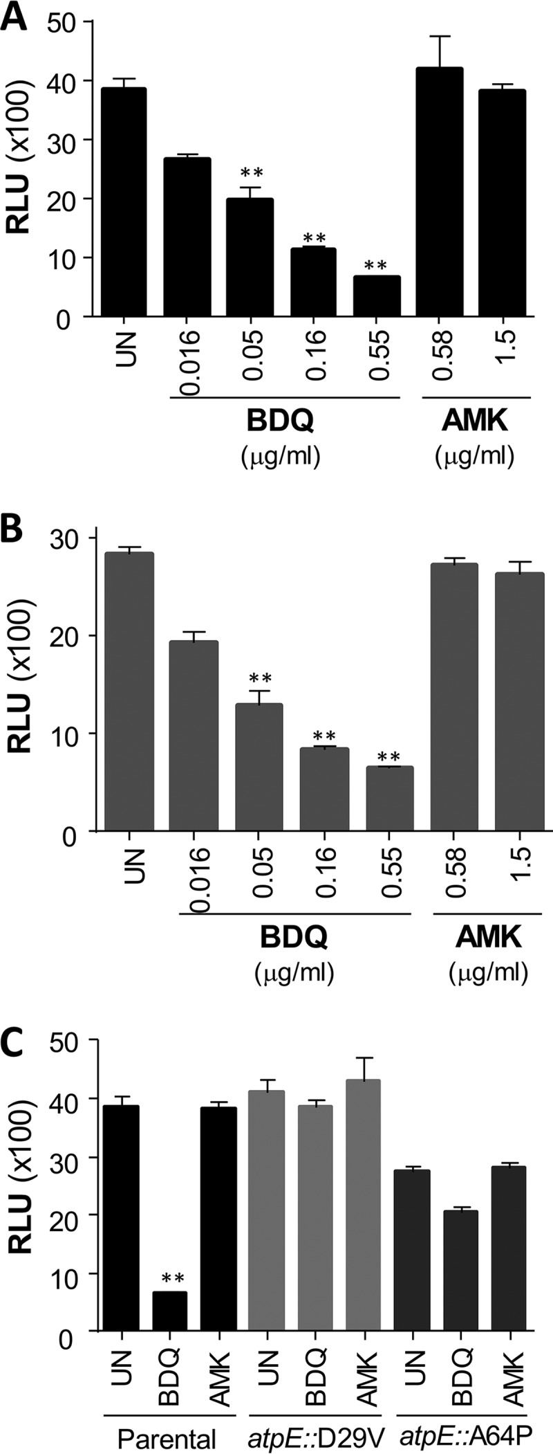 FIG 3