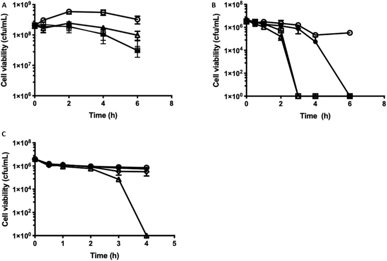 FIGURE 3