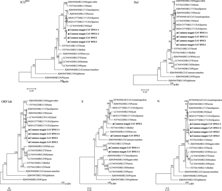 FIGURE 3