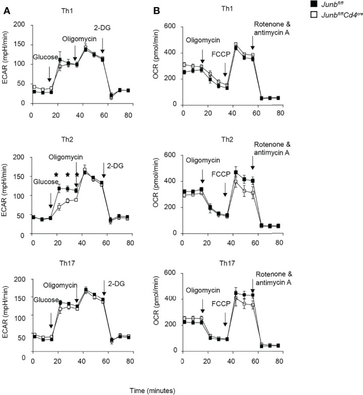 Figure 5