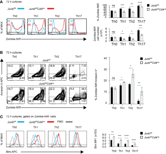 Figure 4