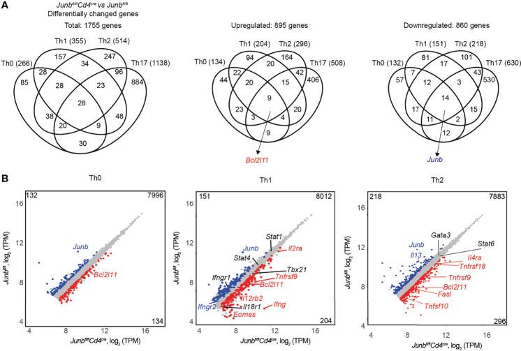 Figure 6