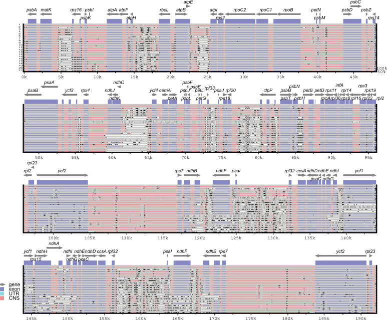 Figure 6