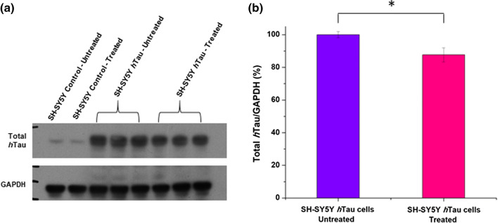 Fig. 9