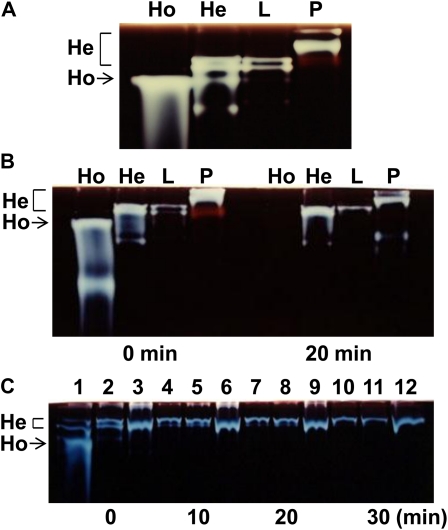 Figure 10.