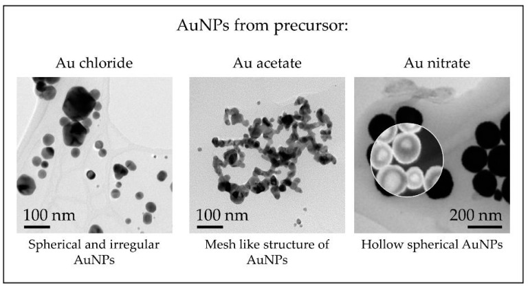 Figure 12