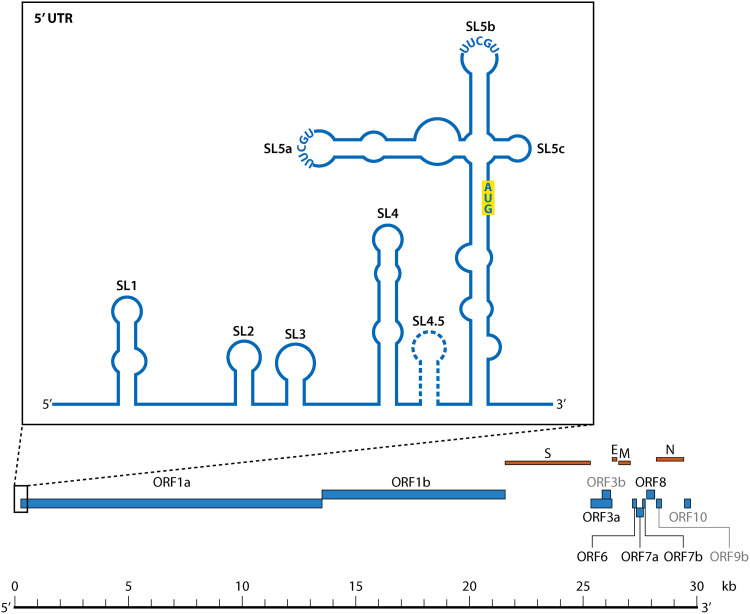 FIG 2