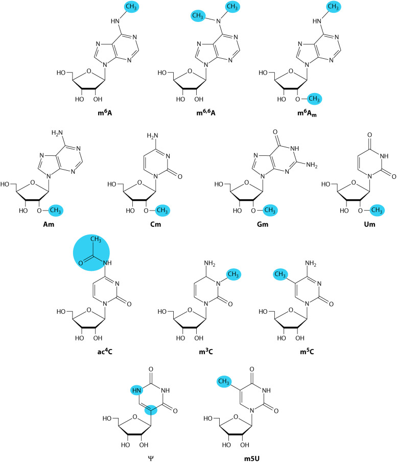 FIG 10