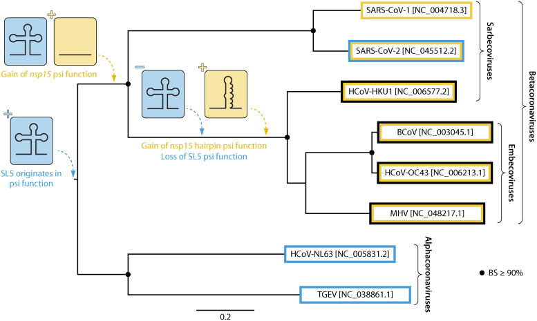 FIG 3