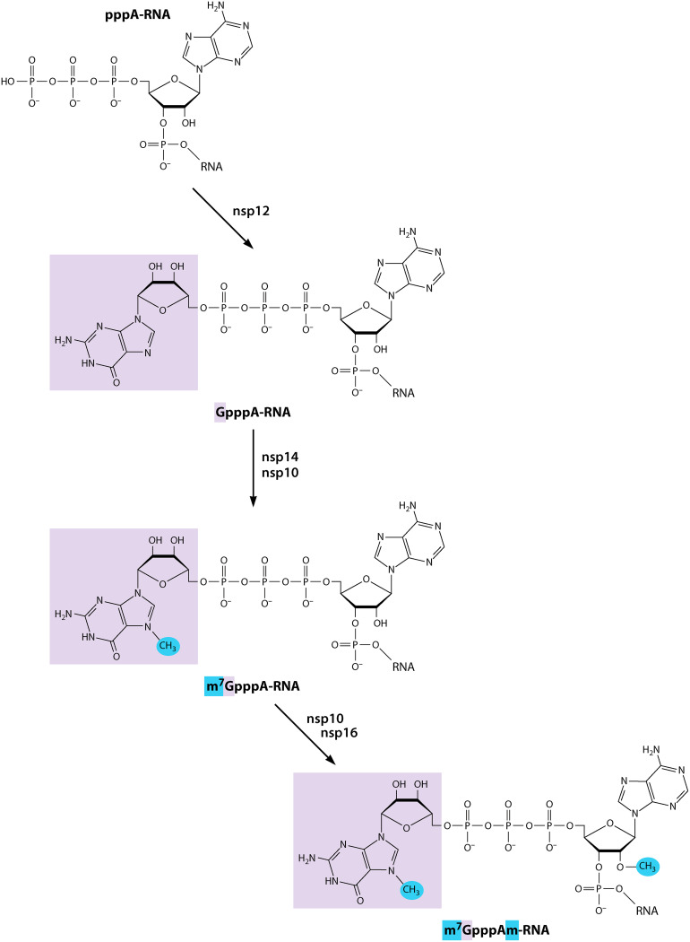 FIG 9