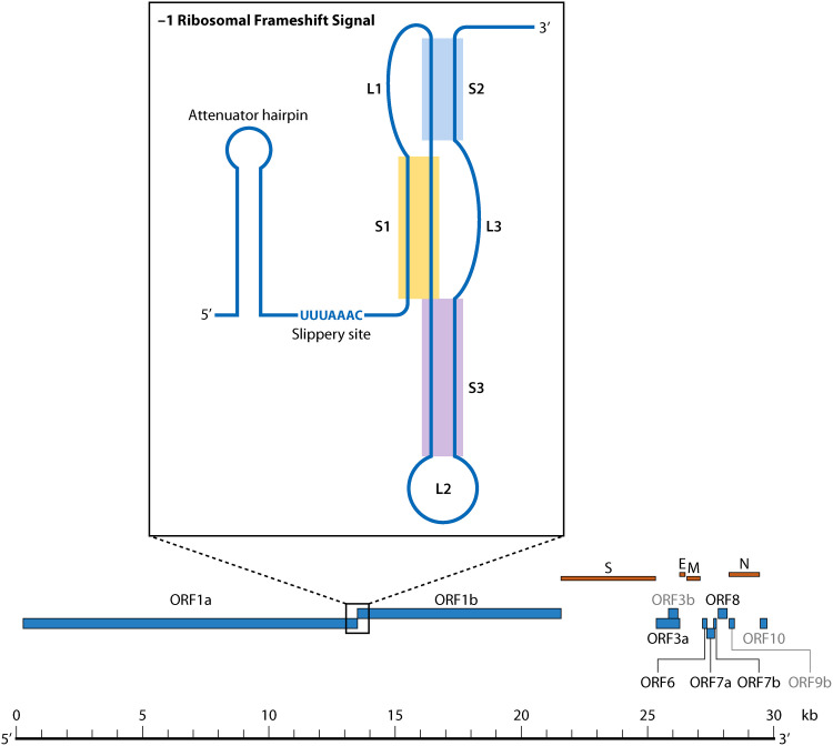 FIG 6