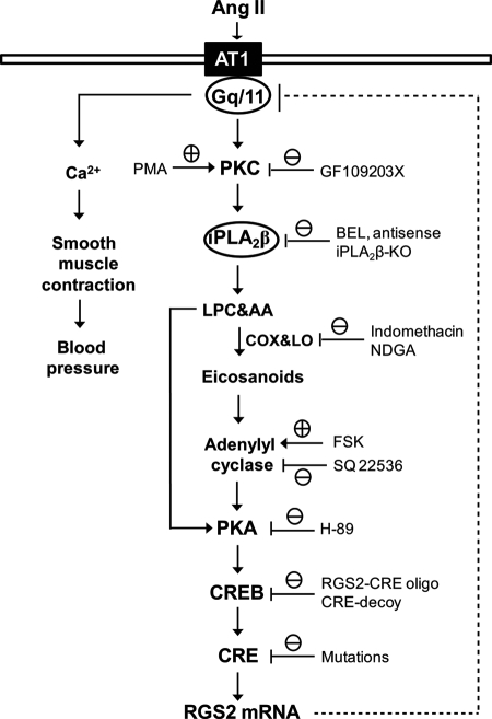 FIGURE 9.