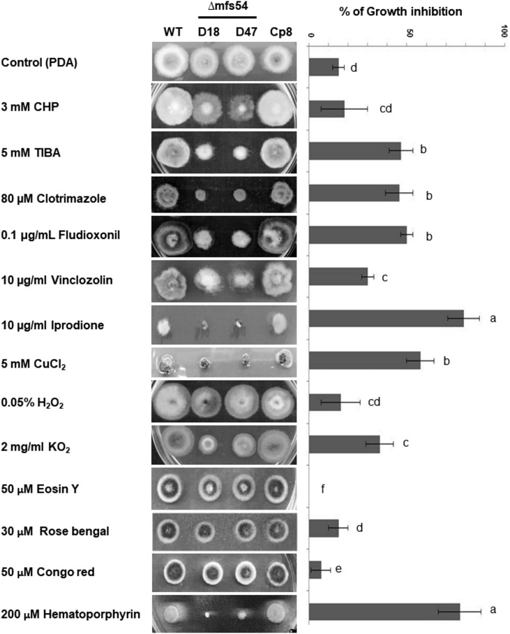 FIGURE 3